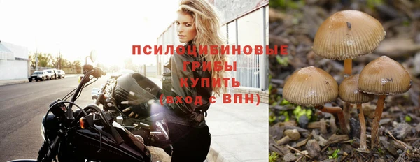 спайс Алзамай