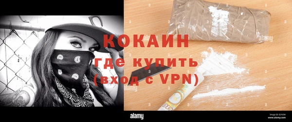 кокс Алексин