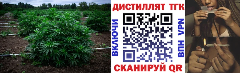 Дистиллят ТГК концентрат  Купить закладки  Касли 