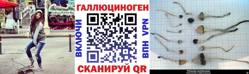Галлюциногенные грибы прущие грибы  Купить где  Касли 